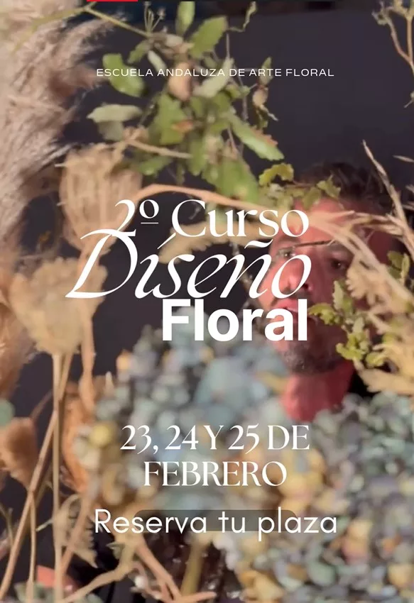 DGFZDH Un elemento decorativo con la escuela de fondo