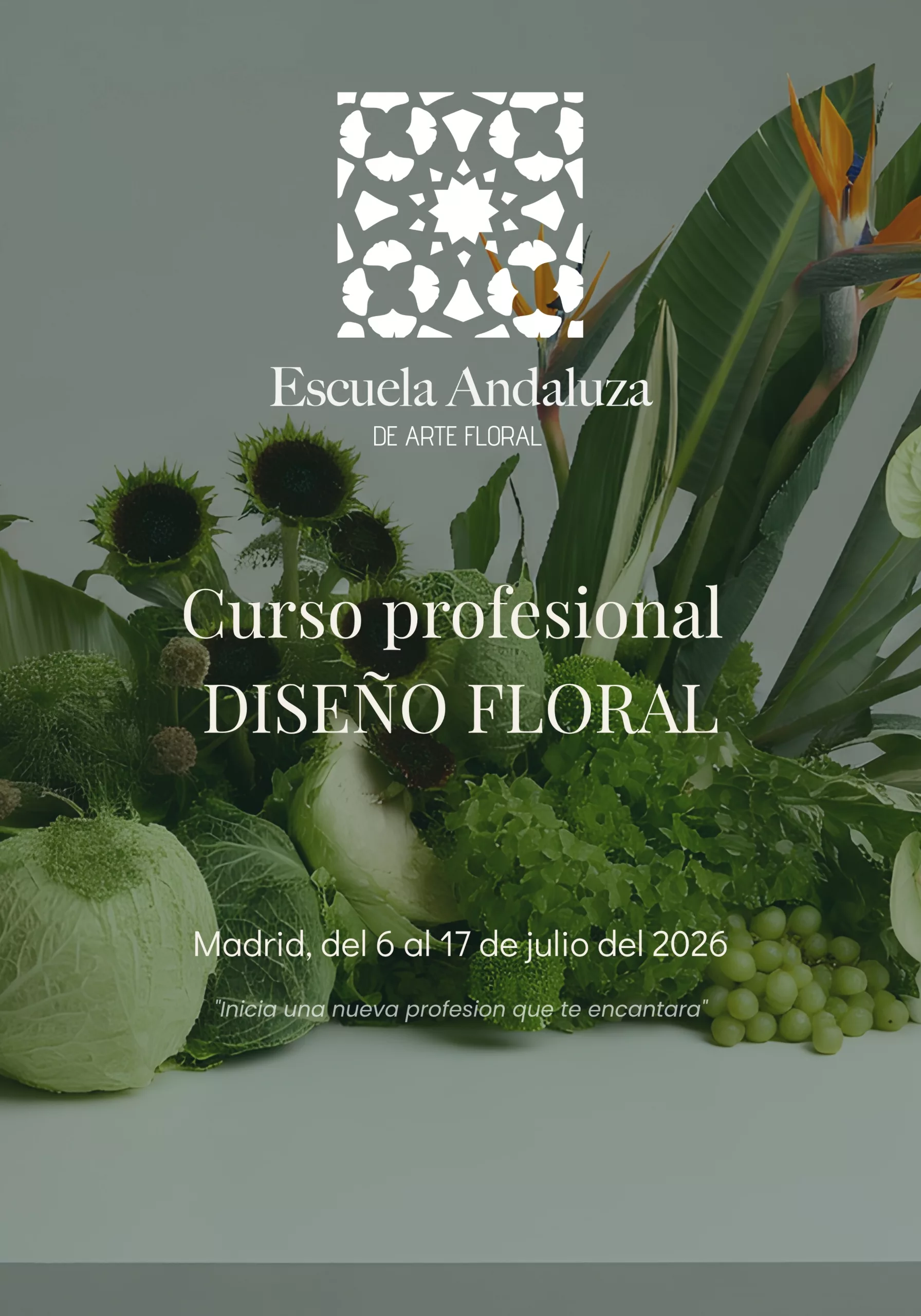 Banner web cursos ESCUELA (70 x 100 cm) Un florista tocando una rama de eucalipto