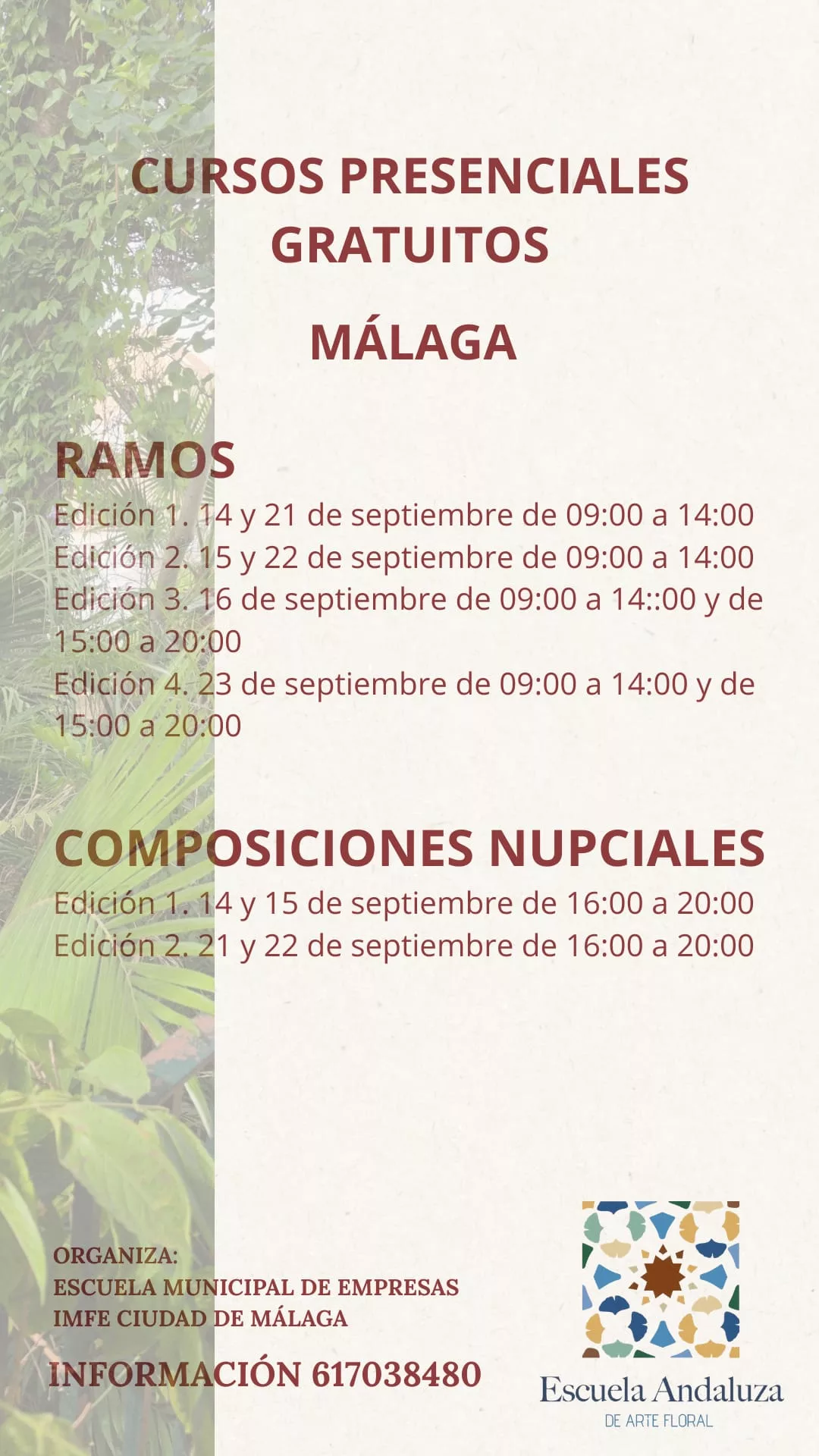 Un florista tocando una rama de eucalipto